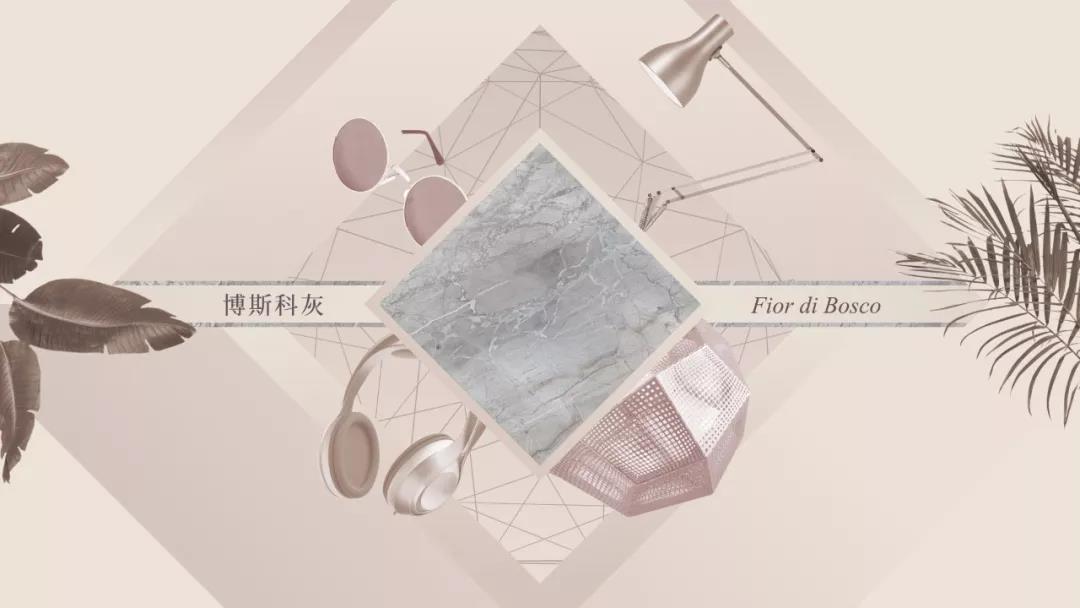 白菜资源网-白菜导航大全