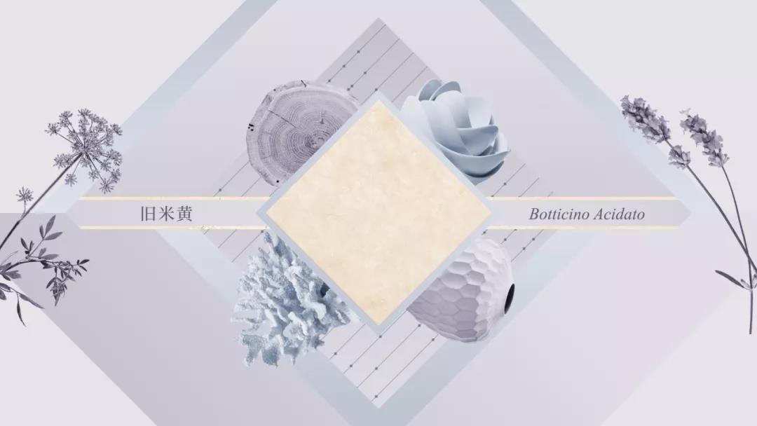 白菜资源网-白菜导航大全