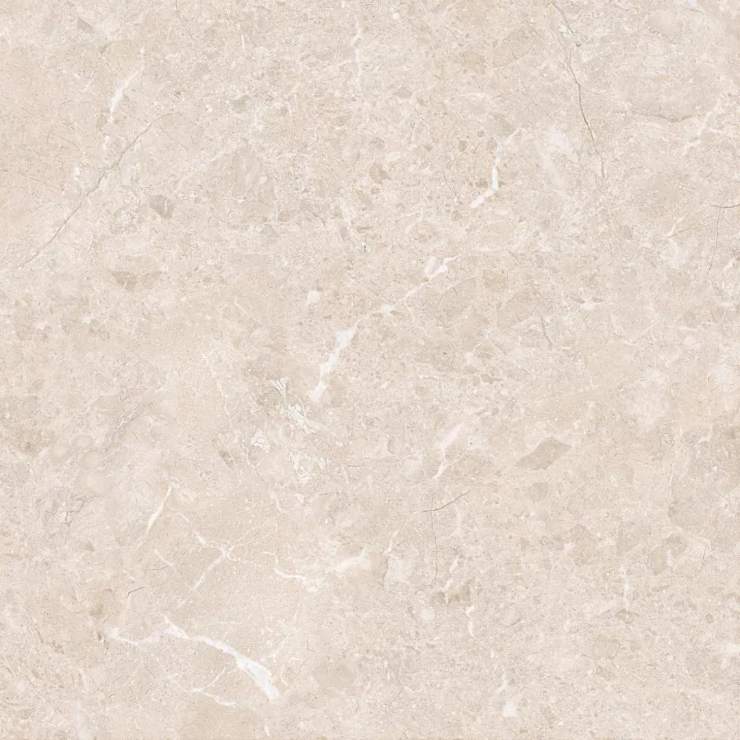 白菜资源网-白菜导航大全