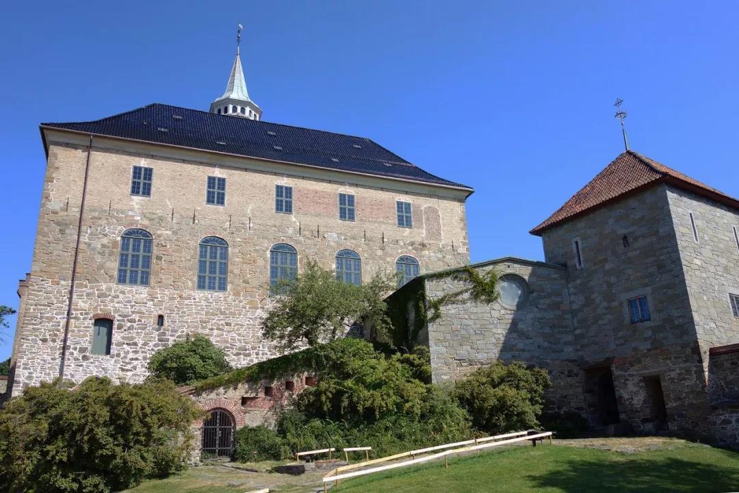 白菜资源网-白菜导航大全