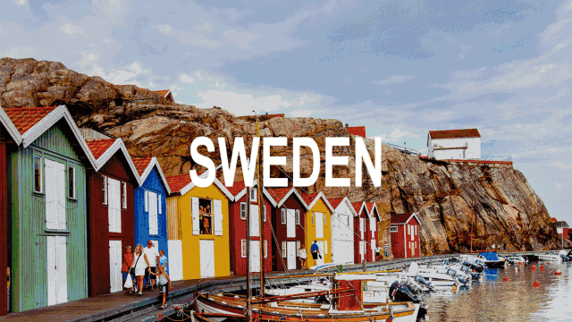 白菜资源网-白菜导航大全