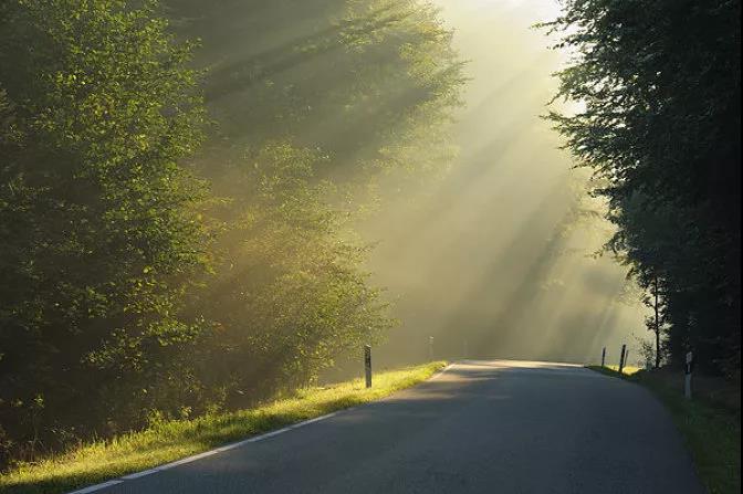 白菜资源网-白菜导航大全