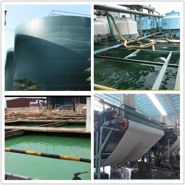 白菜资源网-白菜导航大全