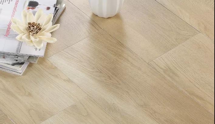 白菜资源网-白菜导航大全