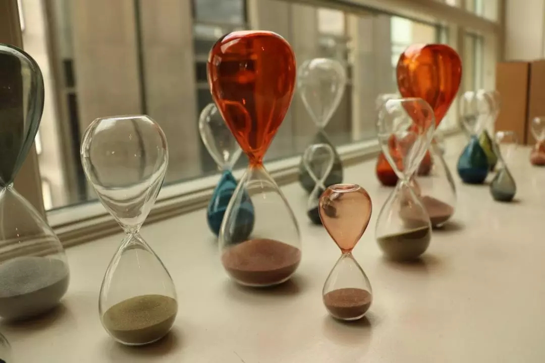 白菜资源网-白菜导航大全