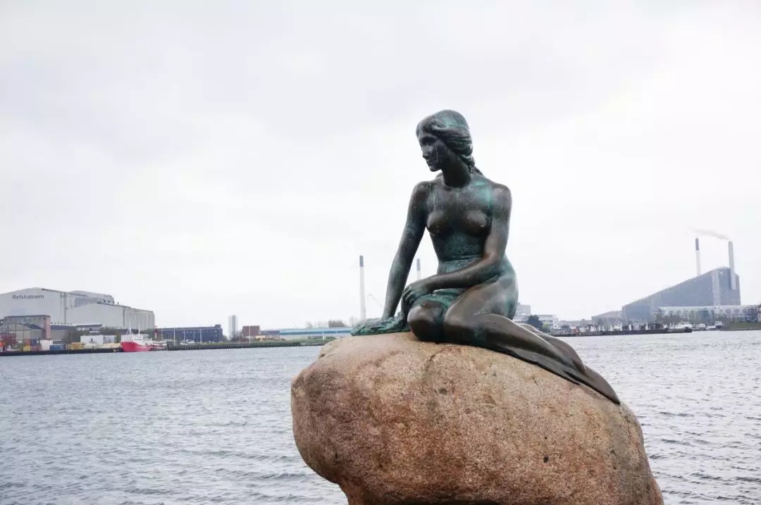 白菜资源网-白菜导航大全