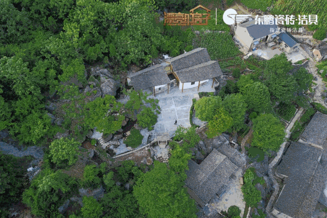 白菜资源网-白菜导航大全