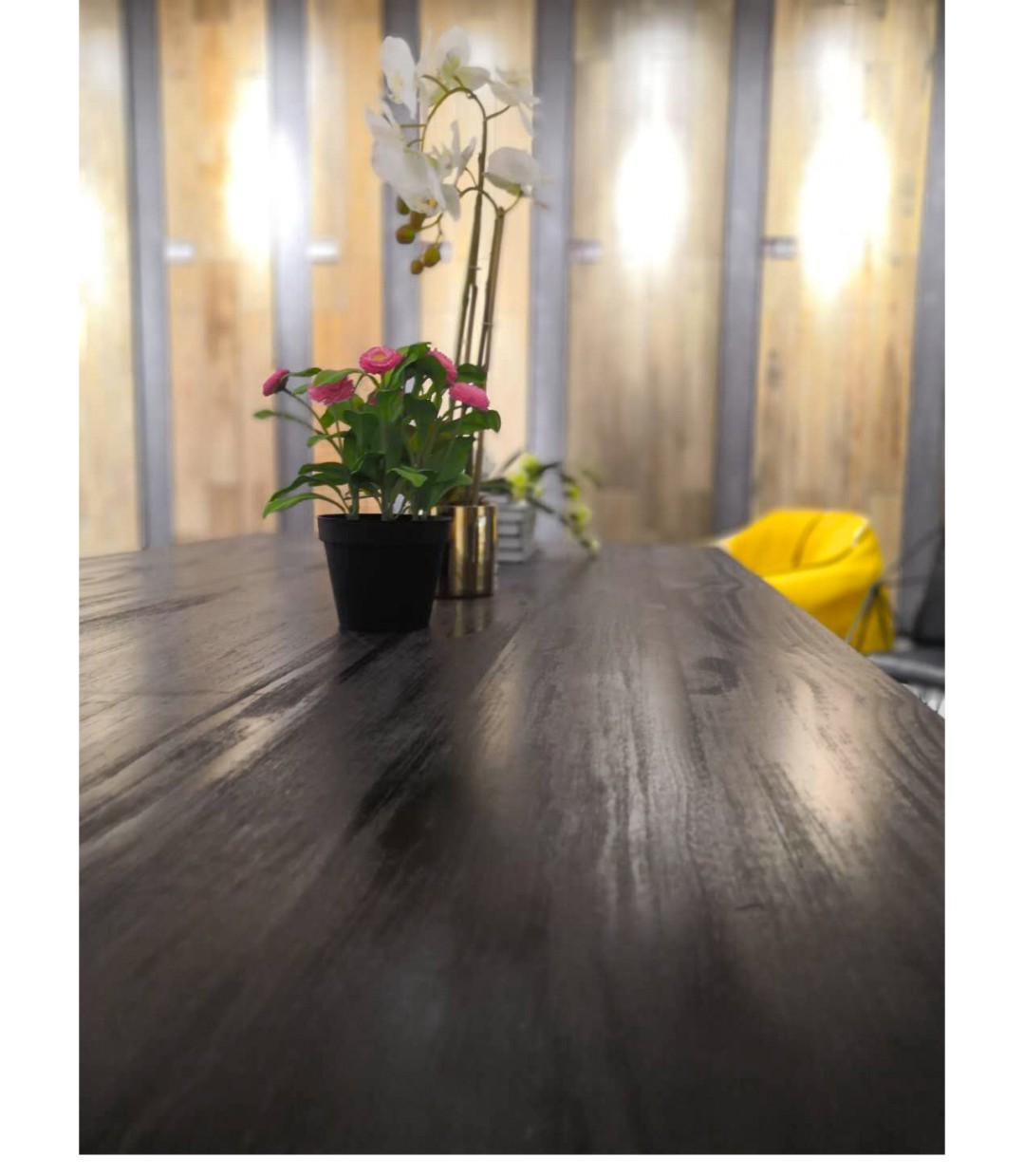 白菜资源网-白菜导航大全