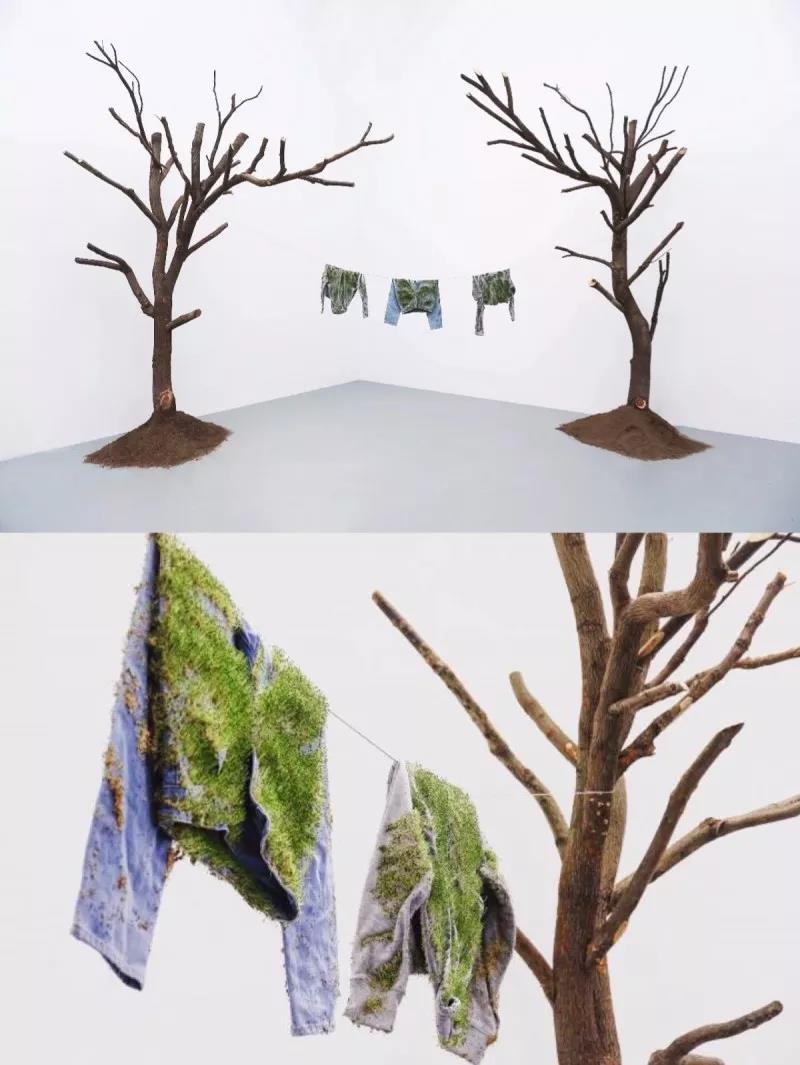 白菜资源网-白菜导航大全