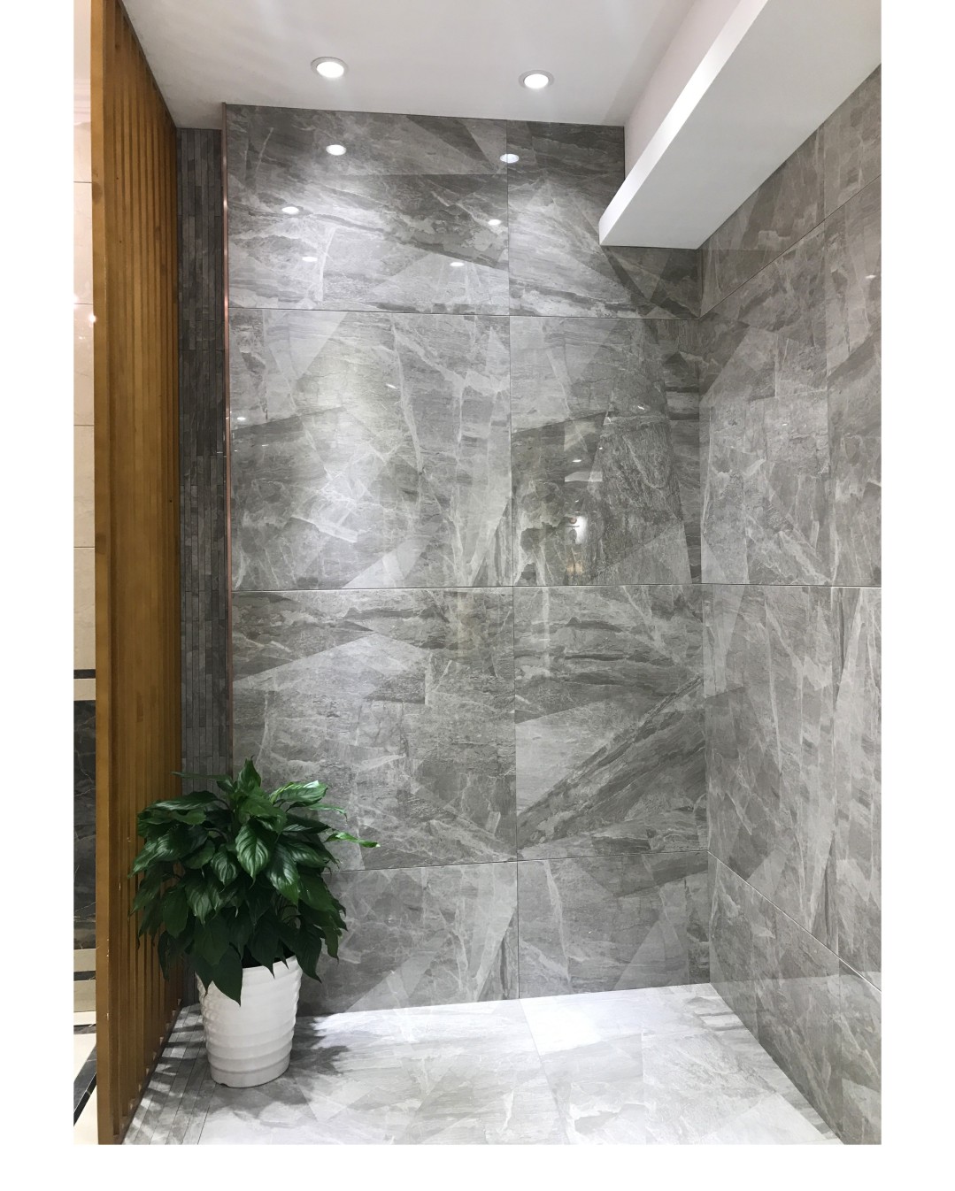 白菜资源网-白菜导航大全