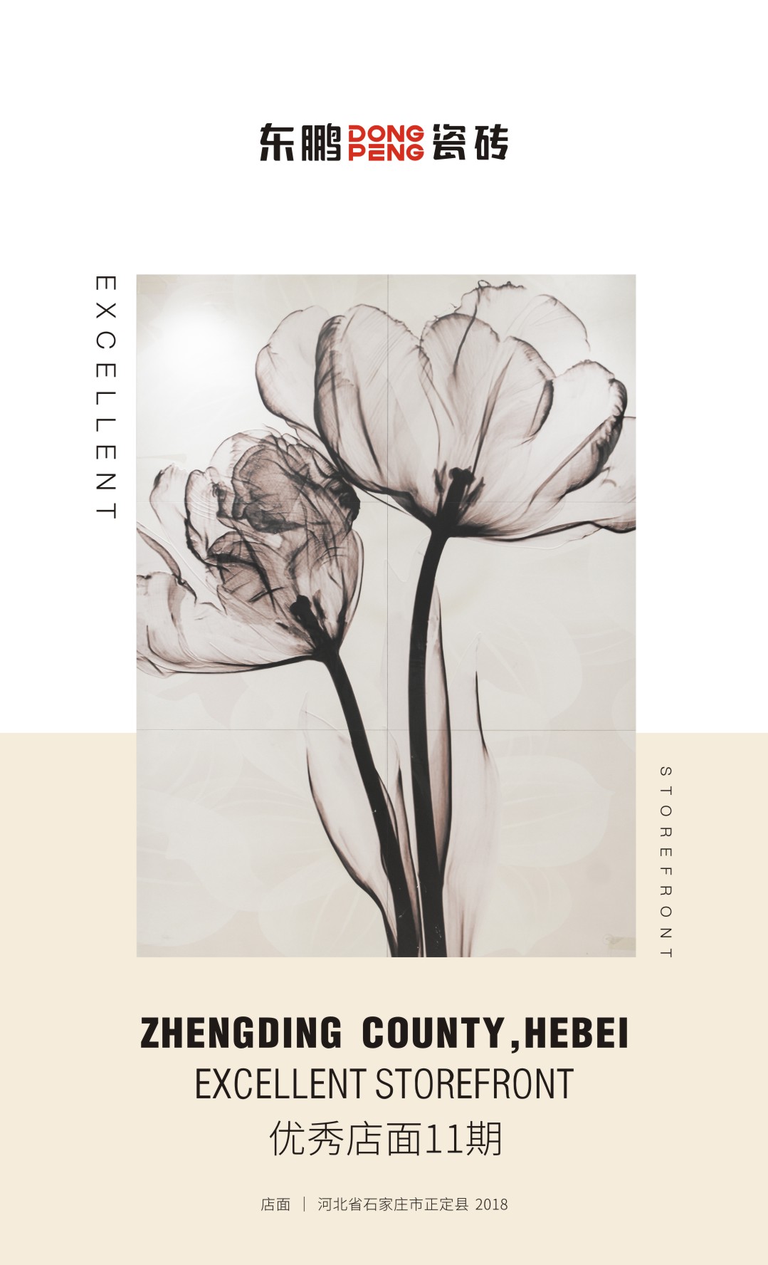 白菜资源网-白菜导航大全