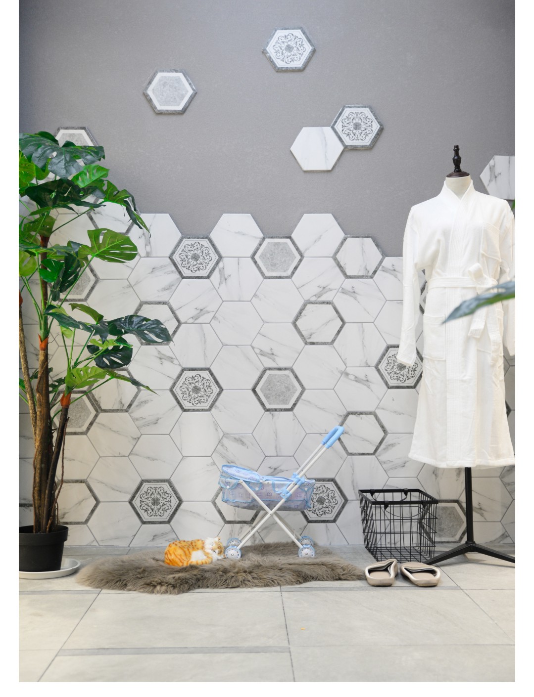 白菜资源网-白菜导航大全