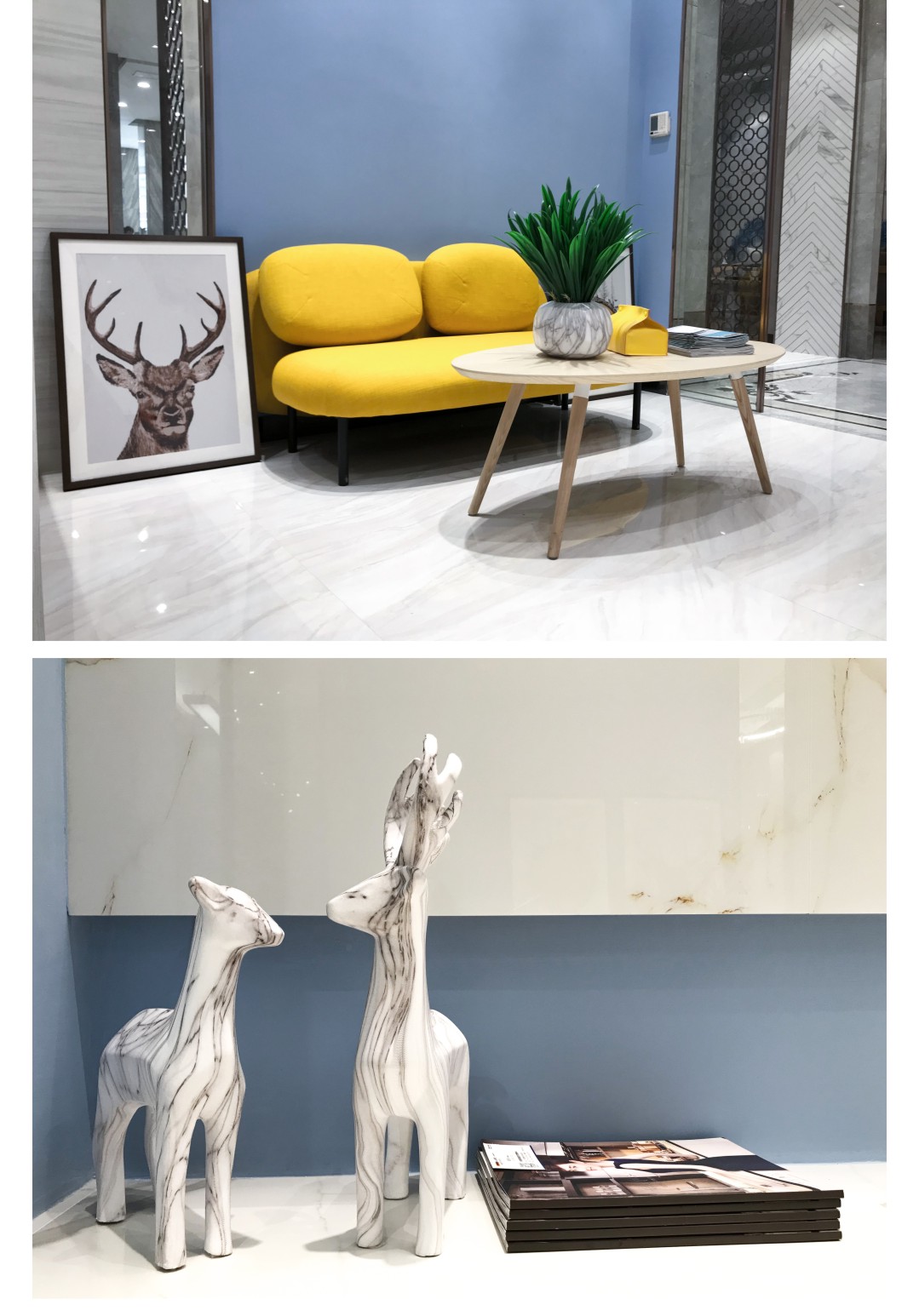 白菜资源网-白菜导航大全