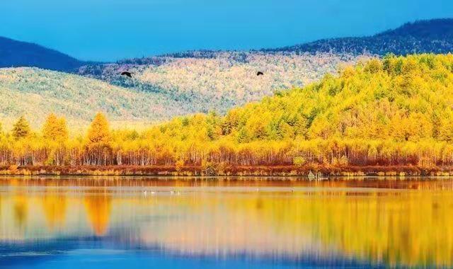 白菜资源网-白菜导航大全