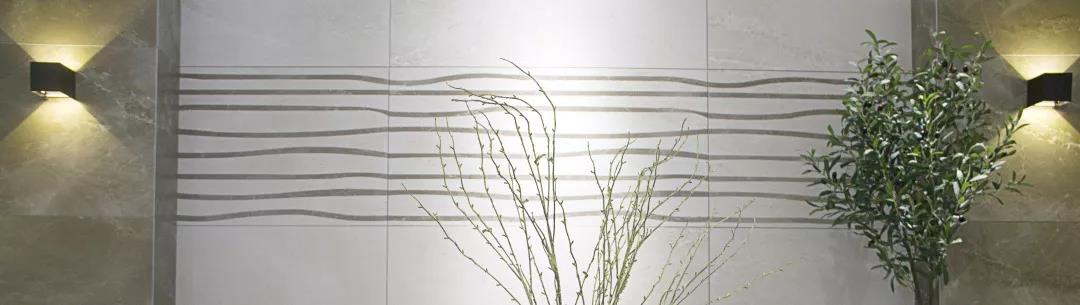 白菜资源网-白菜导航大全