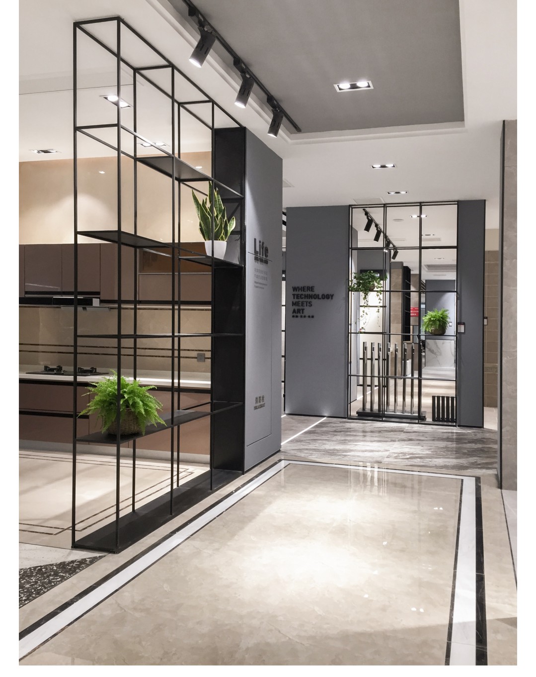 白菜资源网-白菜导航大全