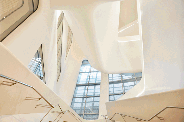 白菜资源网-白菜导航大全