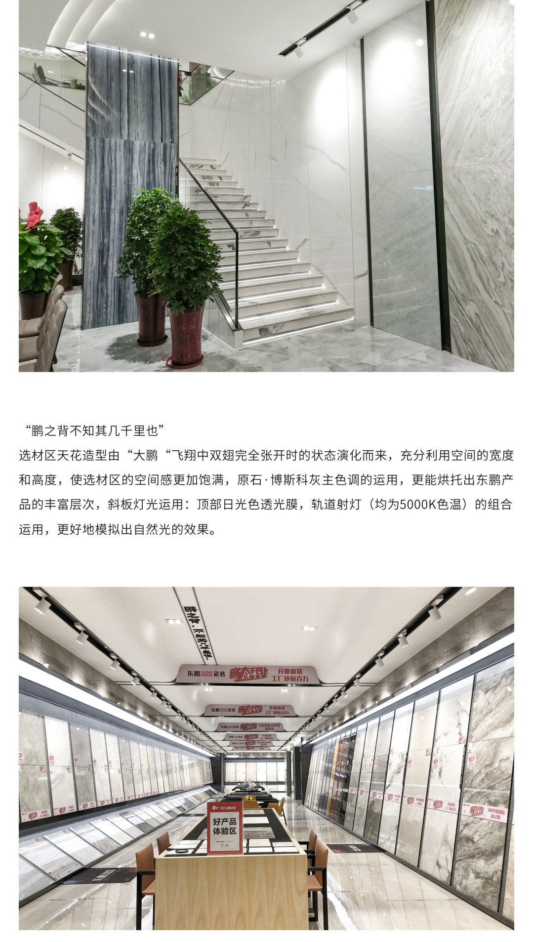 白菜资源网-白菜导航大全