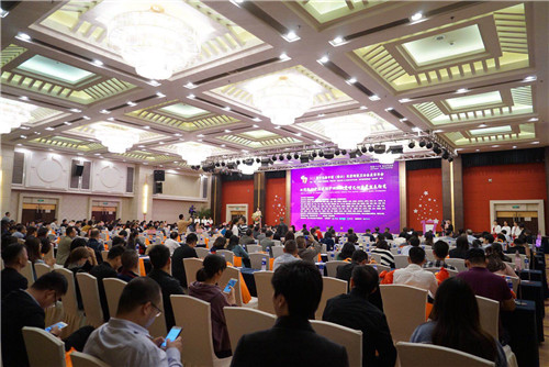 白菜资源网-白菜导航大全