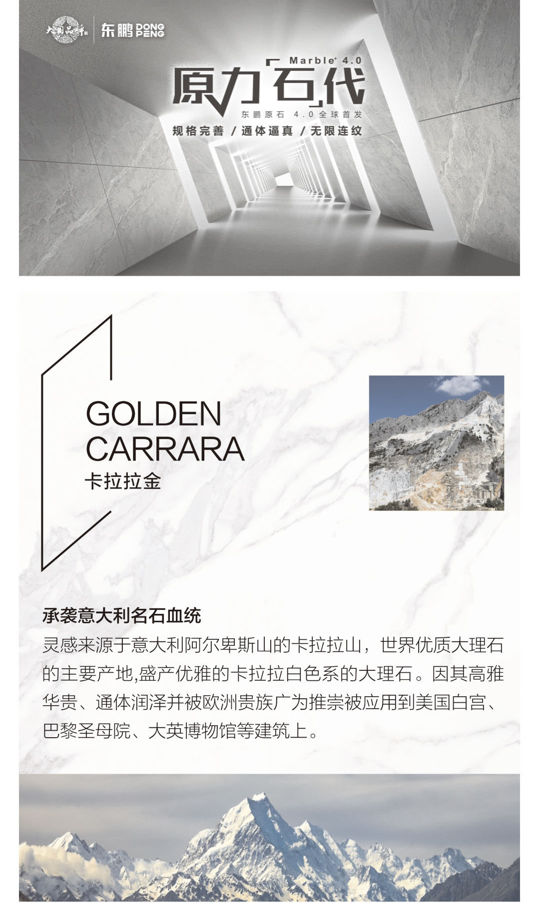 白菜资源网-白菜导航大全