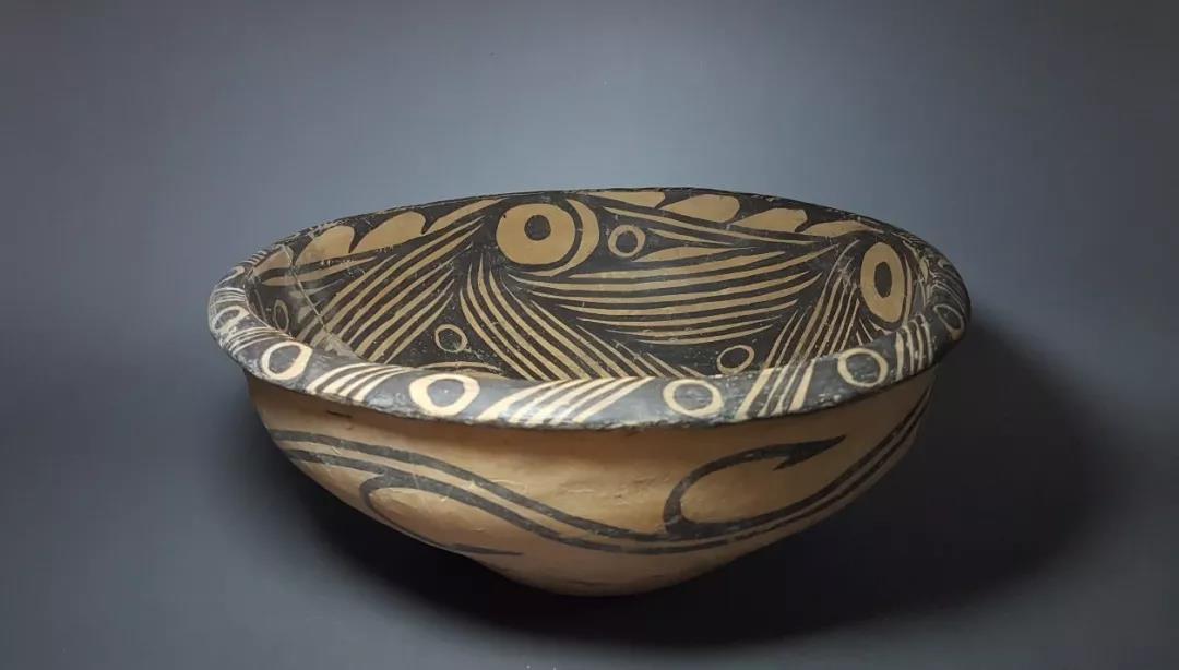 白菜资源网-白菜导航大全