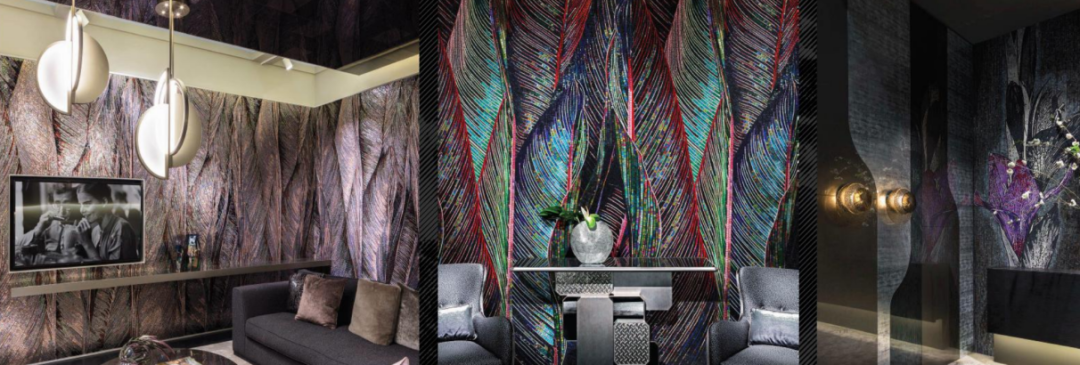 白菜资源网-白菜导航大全