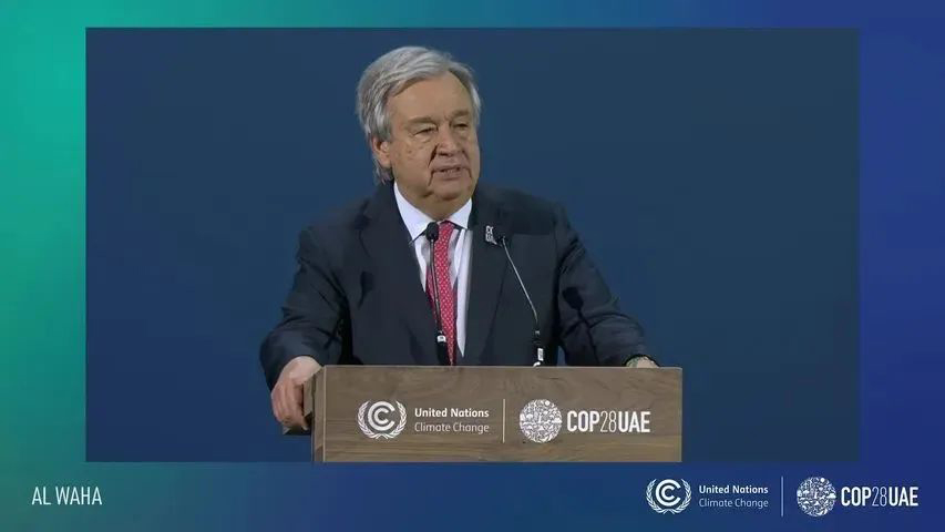 白菜资源网-白菜导航大全