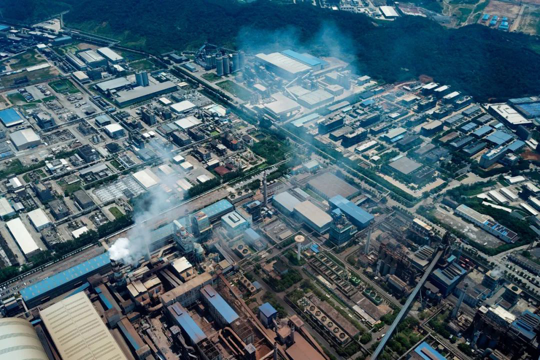 白菜资源网-白菜导航大全