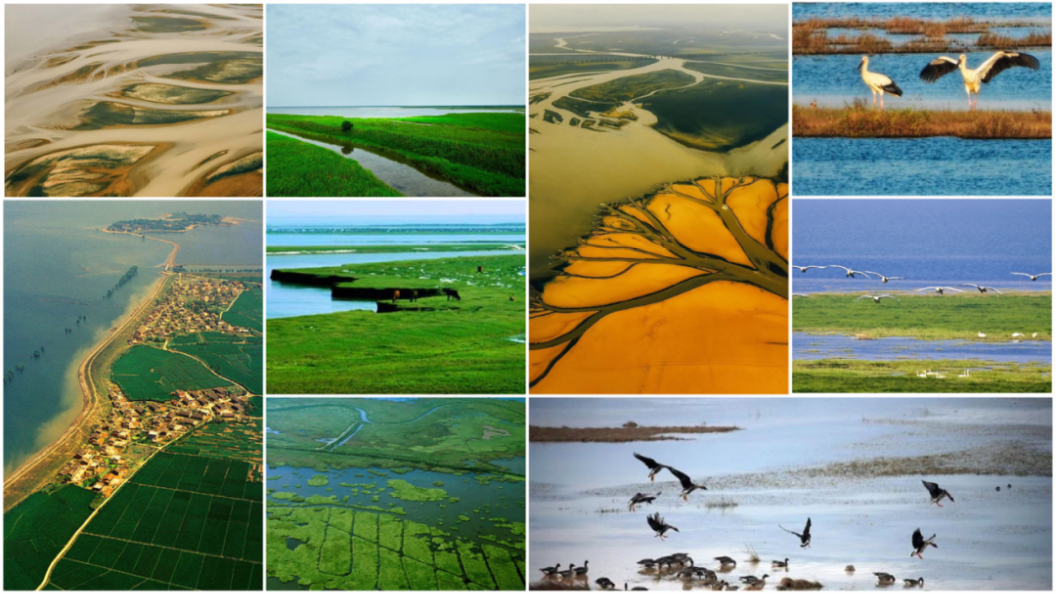 白菜资源网-白菜导航大全