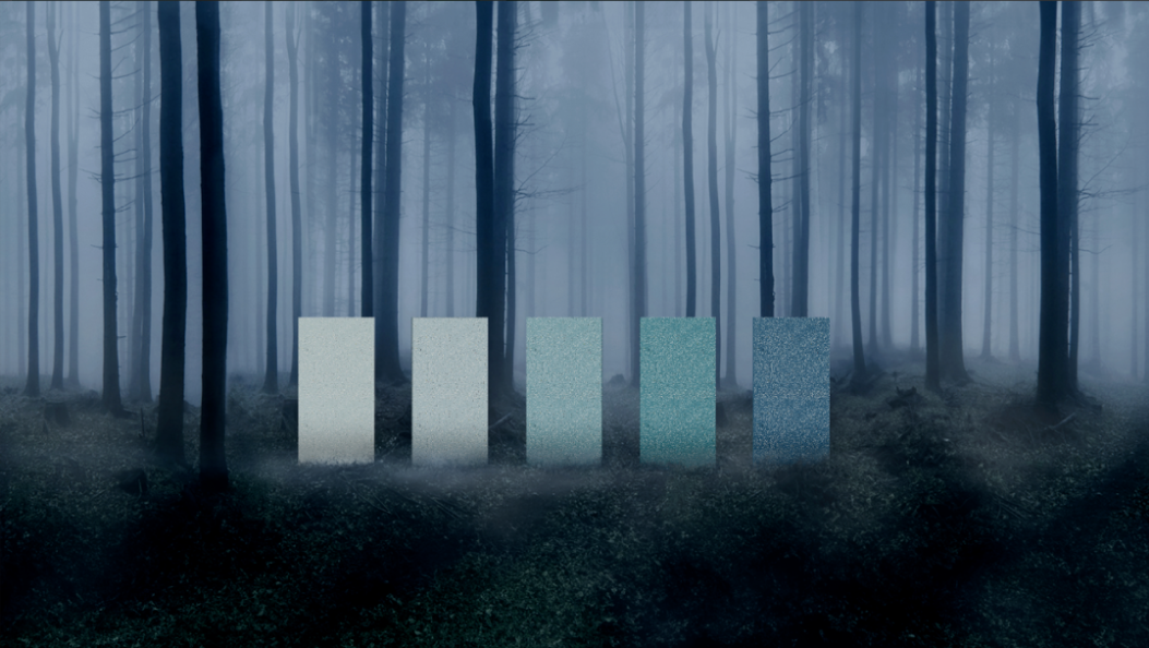 白菜资源网-白菜导航大全