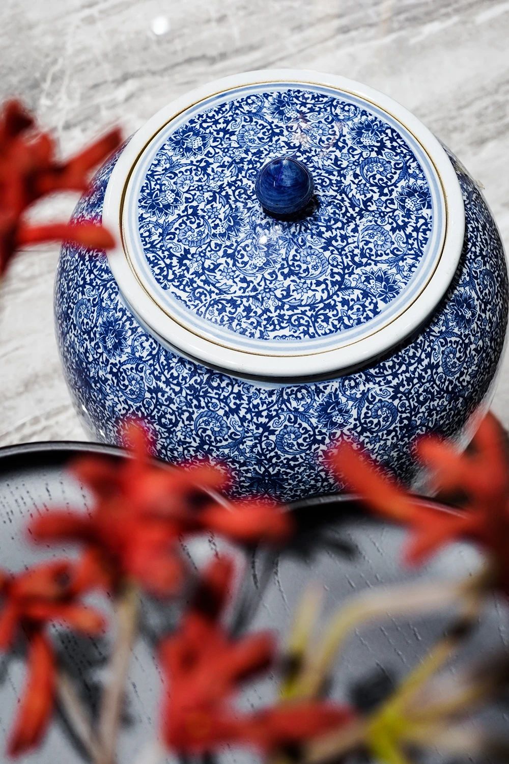 白菜资源网-白菜导航大全