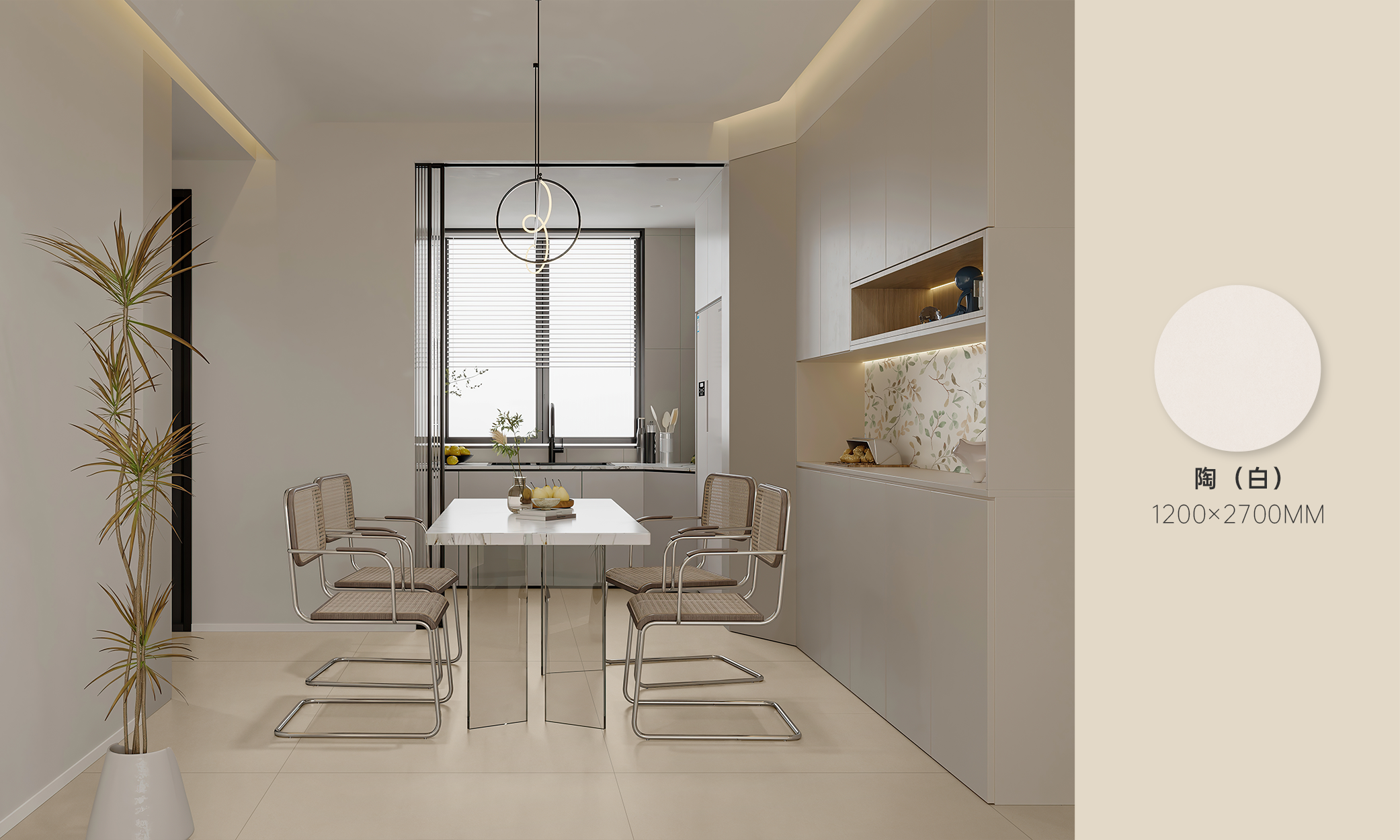 白菜资源网-白菜导航大全