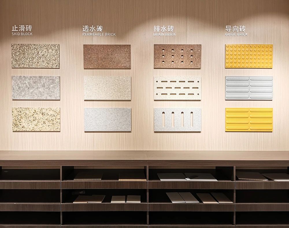 白菜资源网-白菜导航大全