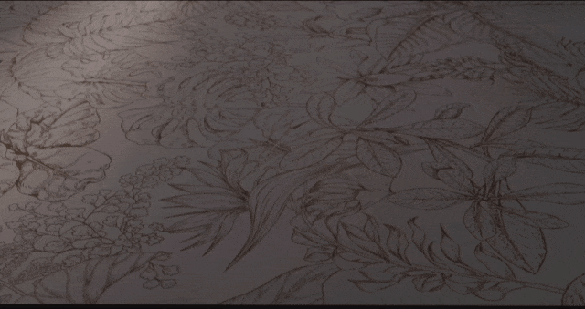 白菜资源网-白菜导航大全