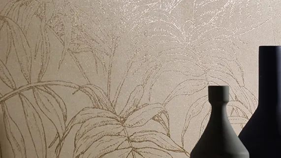 白菜资源网-白菜导航大全