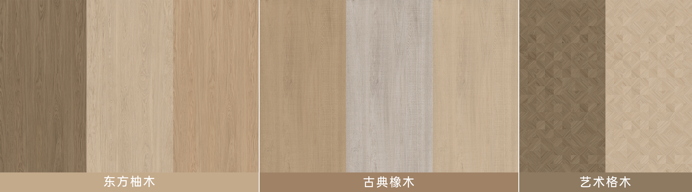 白菜资源网-白菜导航大全