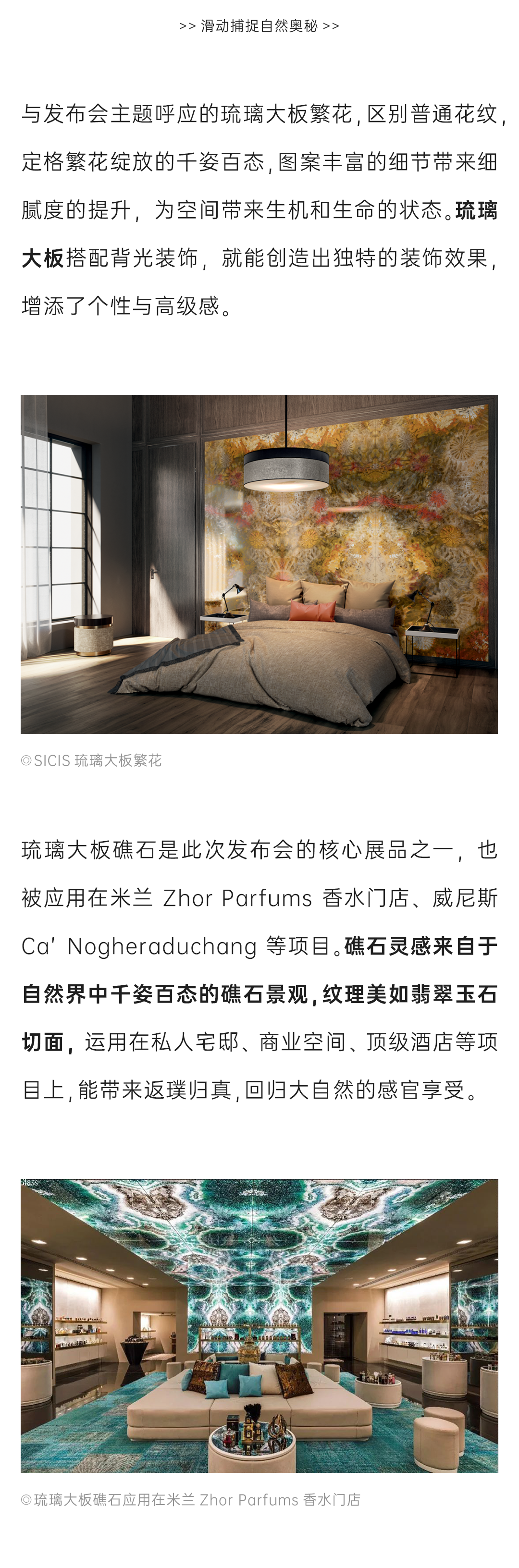 白菜资源网-白菜导航大全