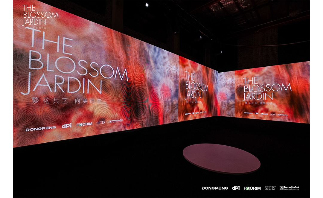 白菜资源网-白菜导航大全