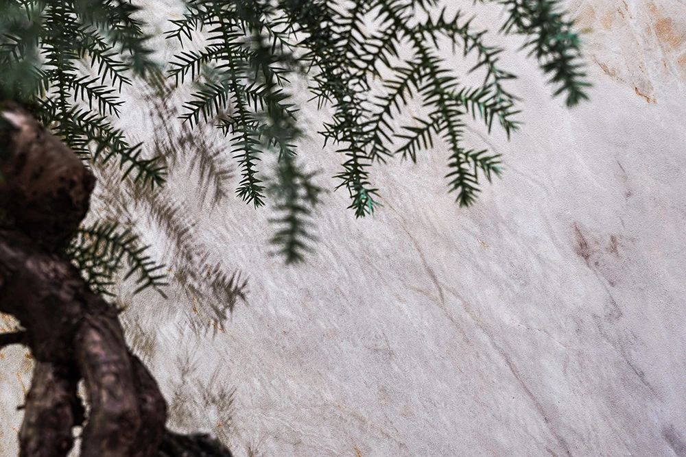 白菜资源网-白菜导航大全