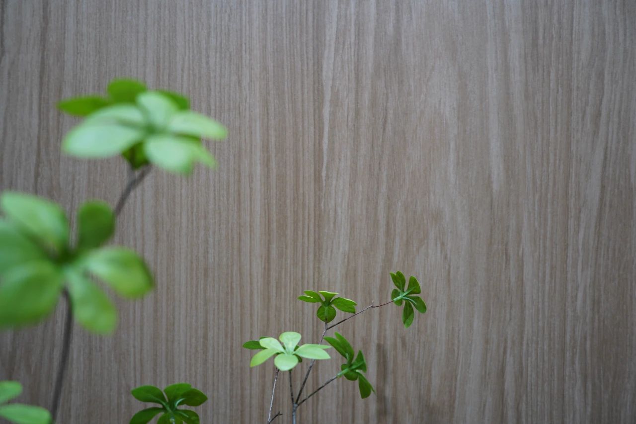 白菜资源网-白菜导航大全