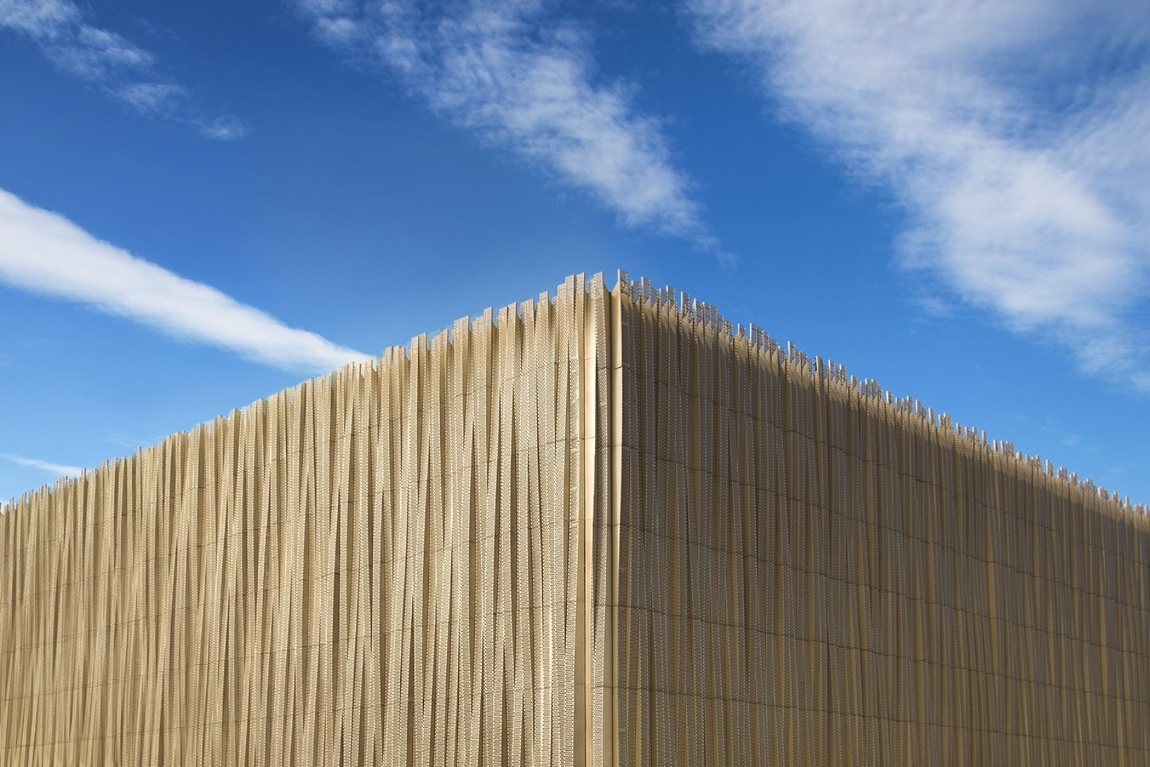 白菜资源网-白菜导航大全