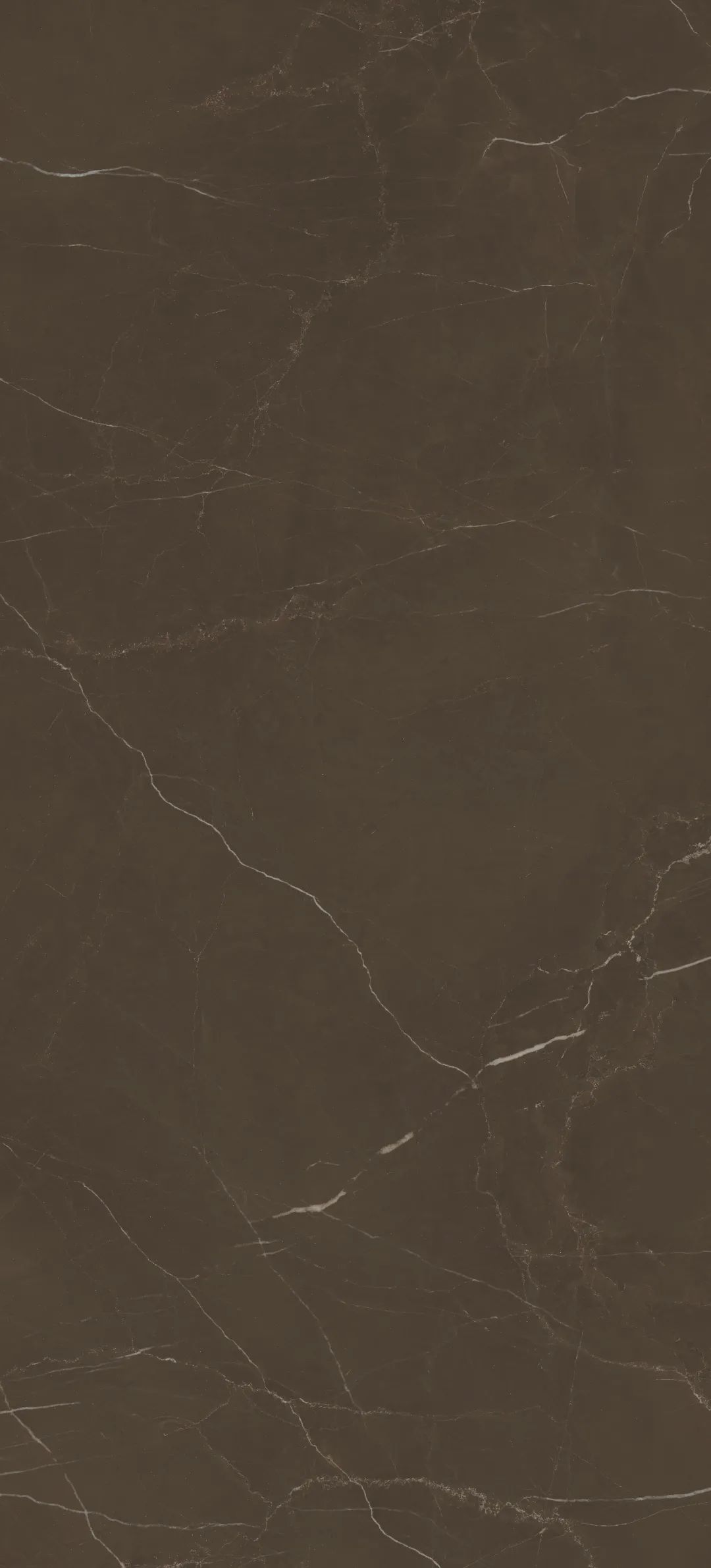 白菜资源网-白菜导航大全