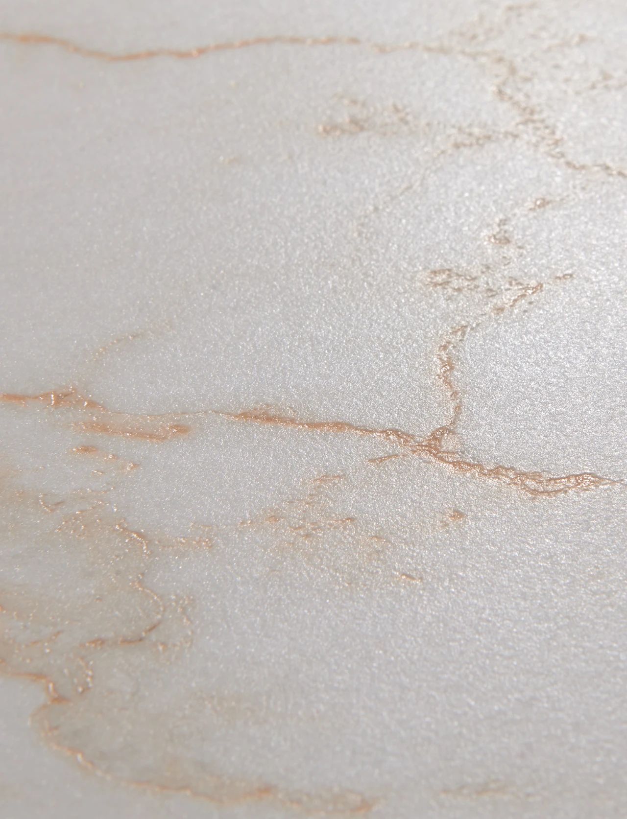 白菜资源网-白菜导航大全