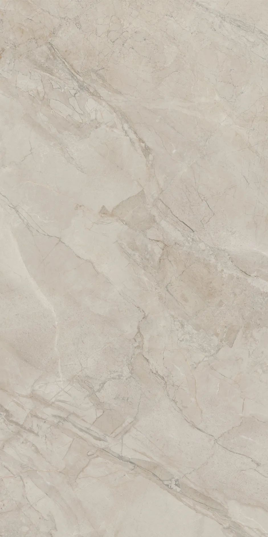 白菜资源网-白菜导航大全