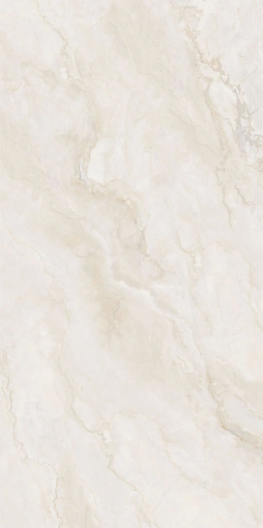 白菜资源网-白菜导航大全