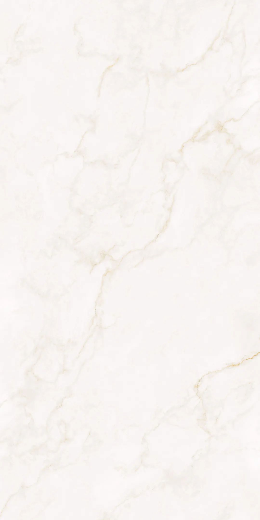 白菜资源网-白菜导航大全