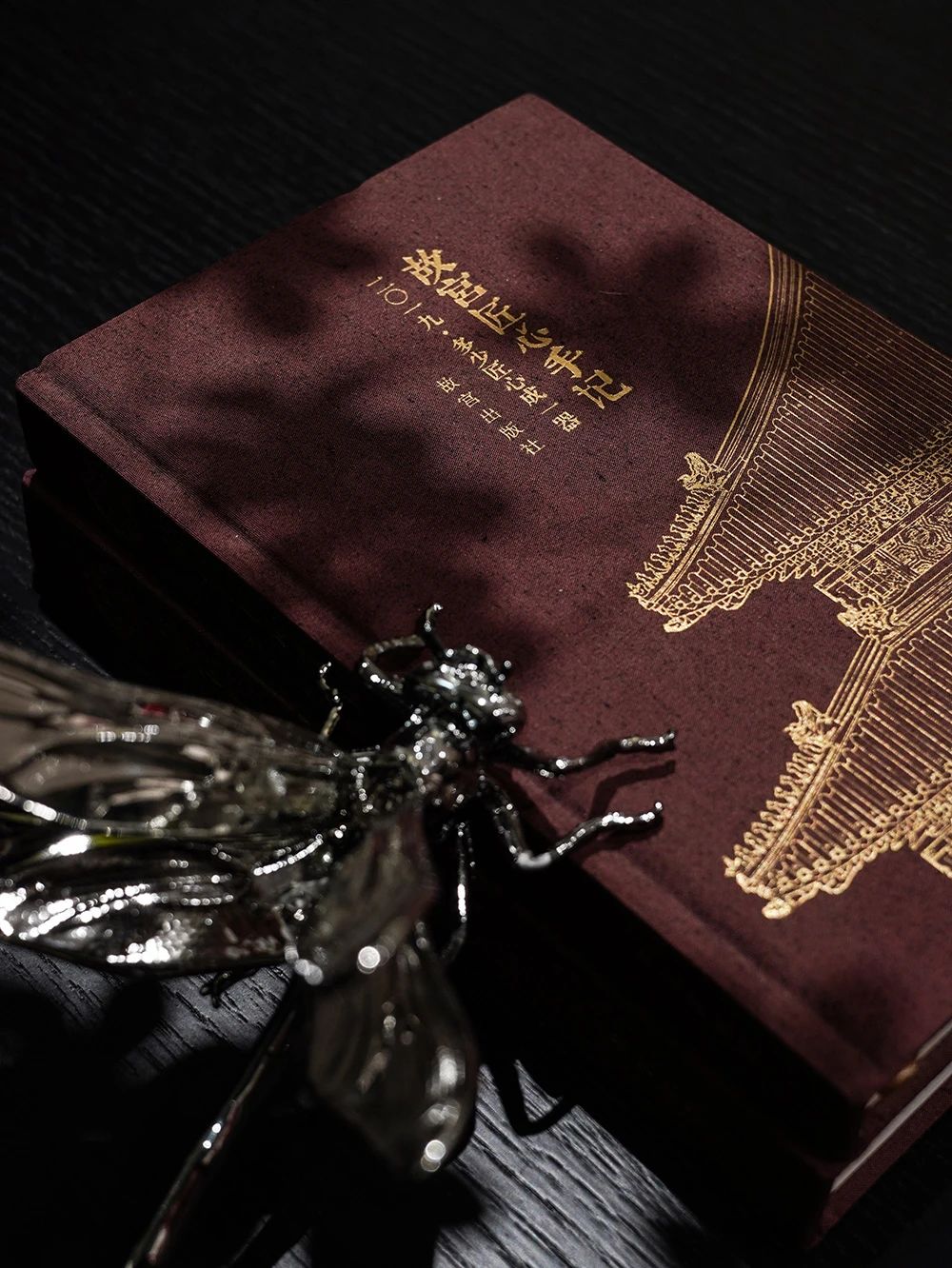 白菜资源网-白菜导航大全