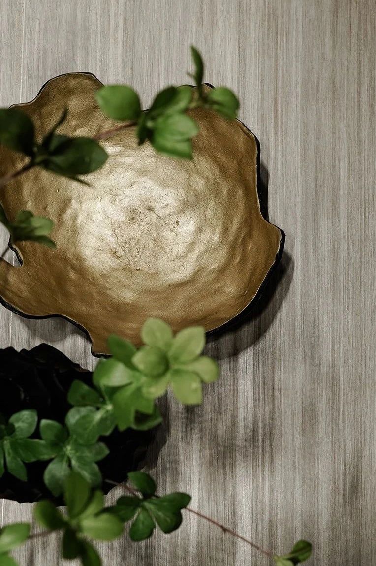 白菜资源网-白菜导航大全