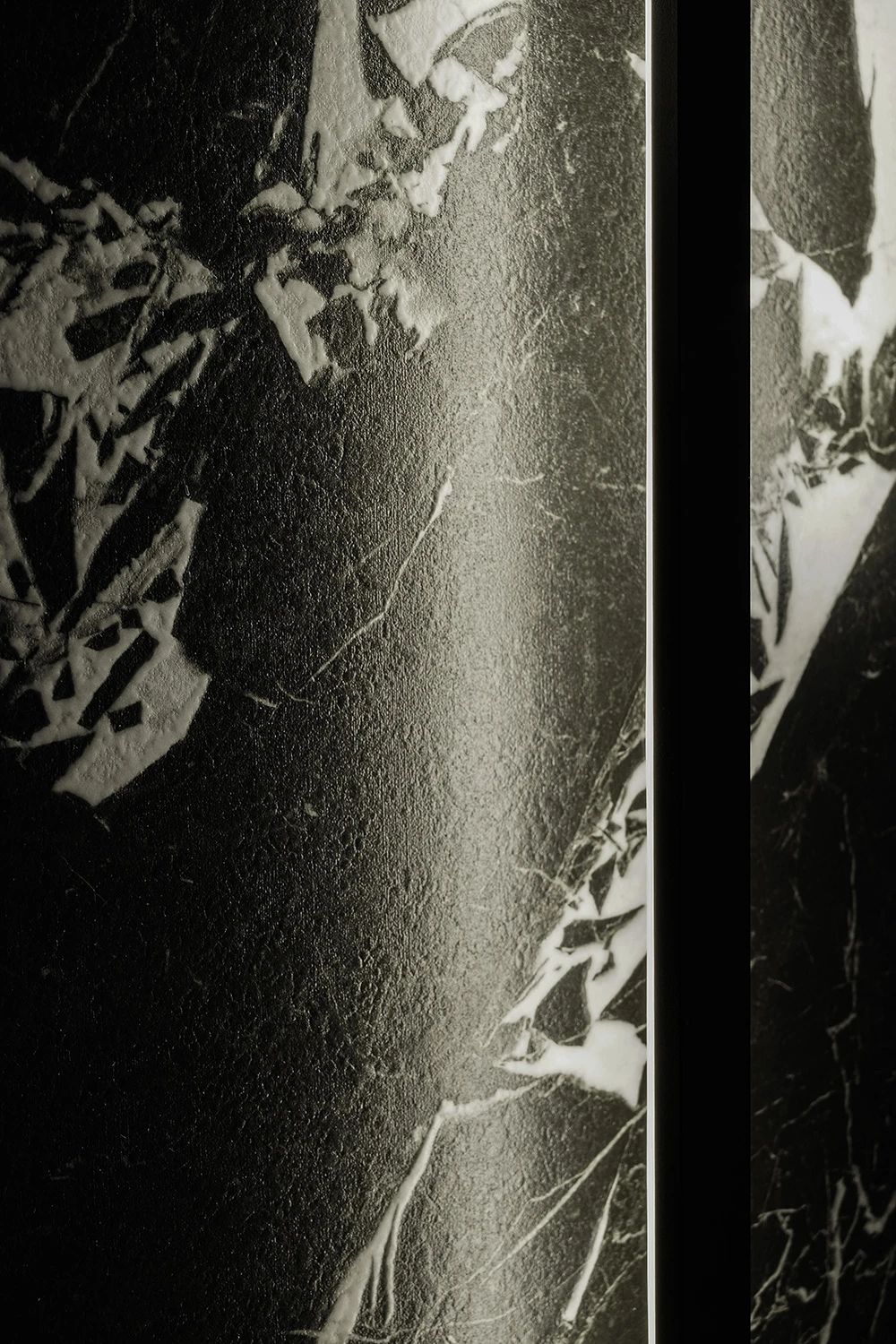 白菜资源网-白菜导航大全