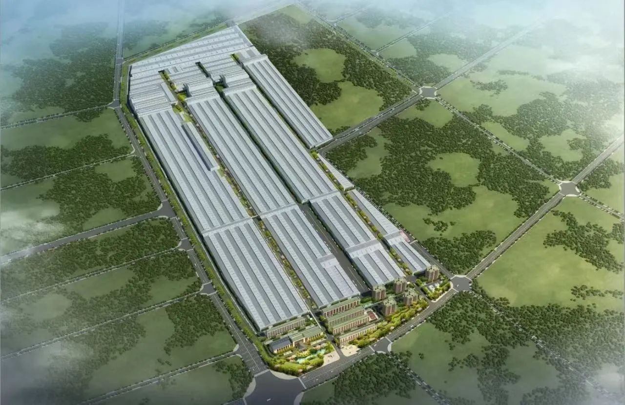 白菜资源网-白菜导航大全